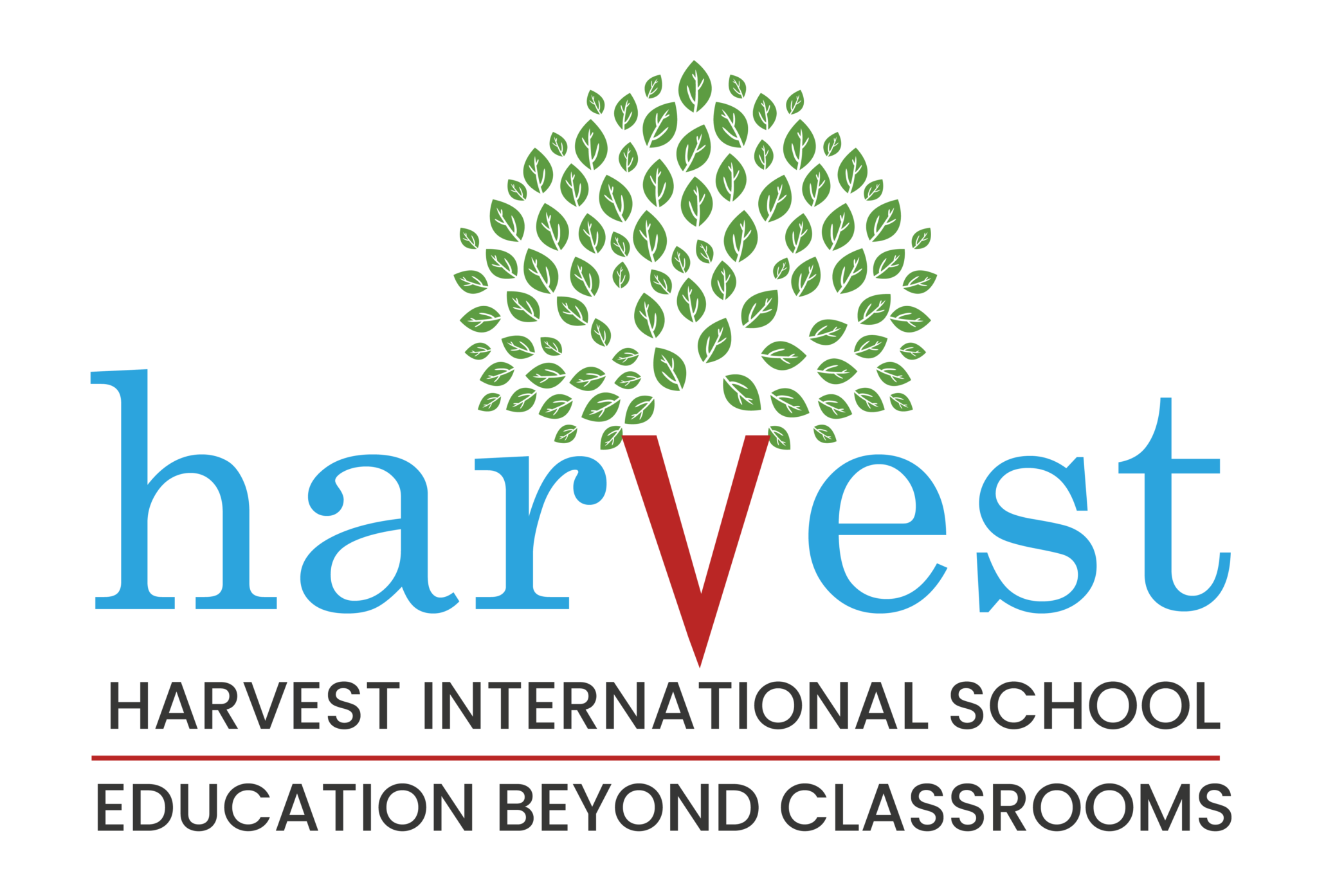 Best ib schools in bangalore harvest international