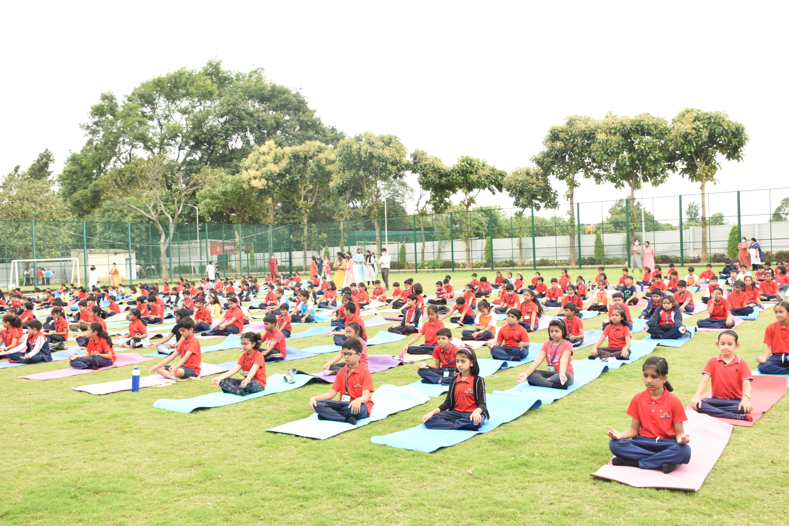 Yoga and wellness