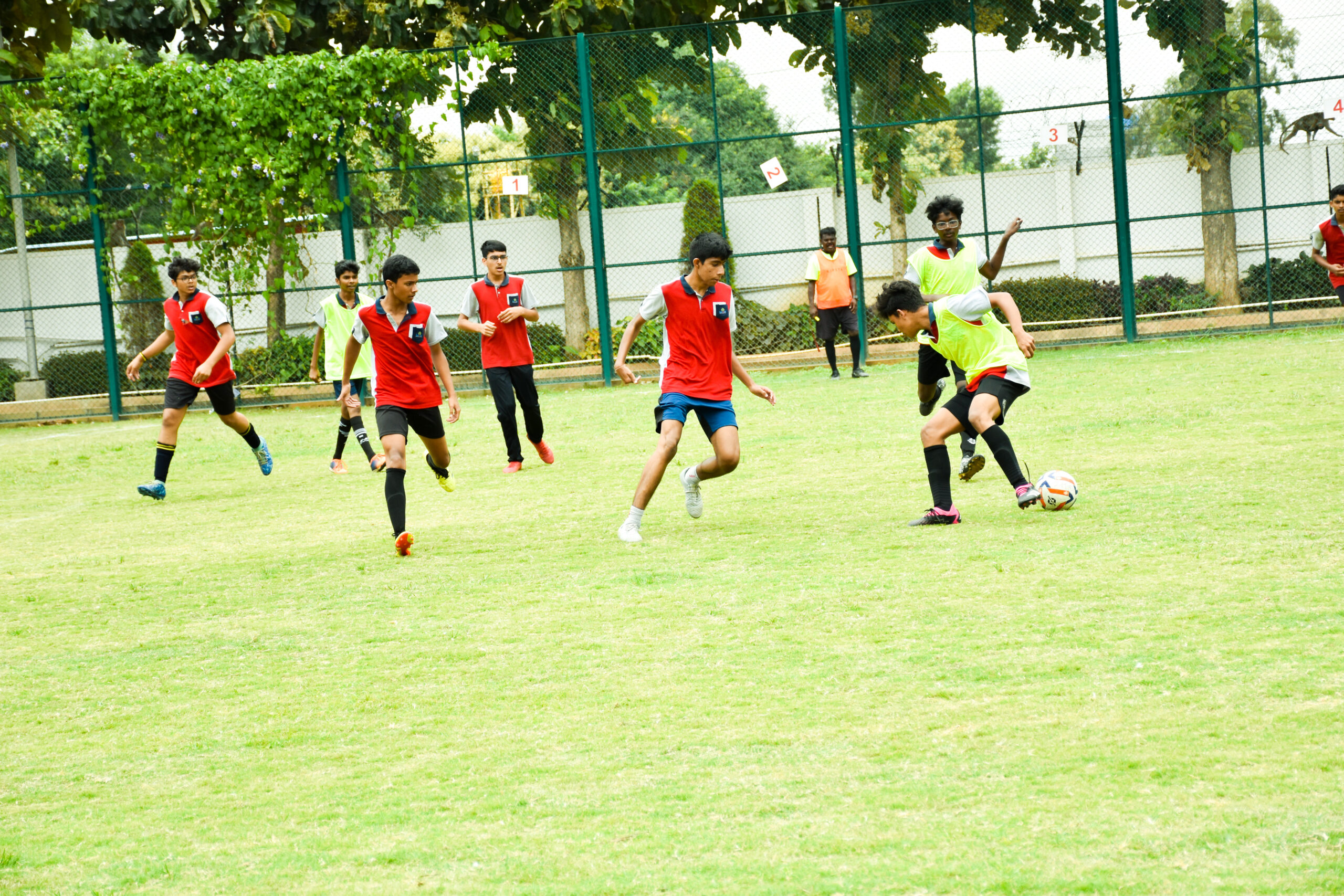 Football ground