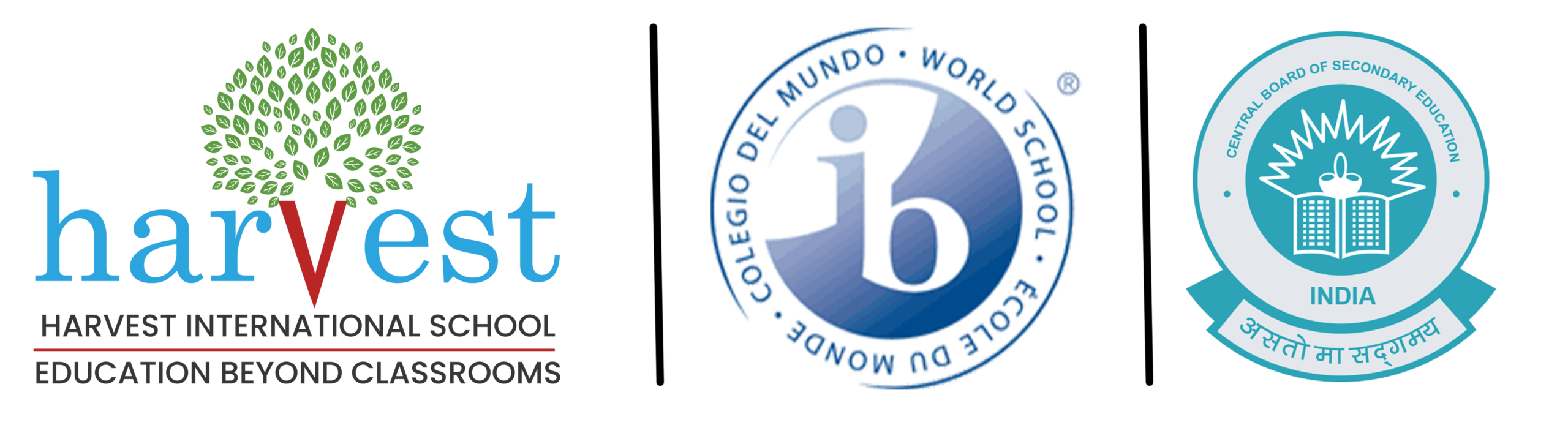 logo website
